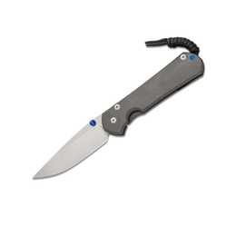 CHRIS REEVE LARGE SEBENZA 31 PLAIN DROP POINT